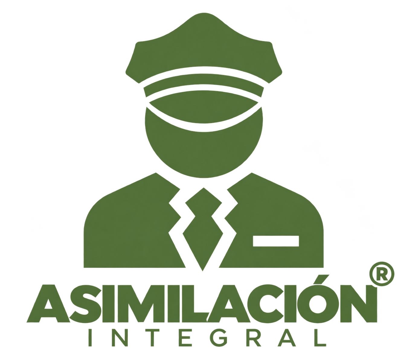 Asimilación Integral