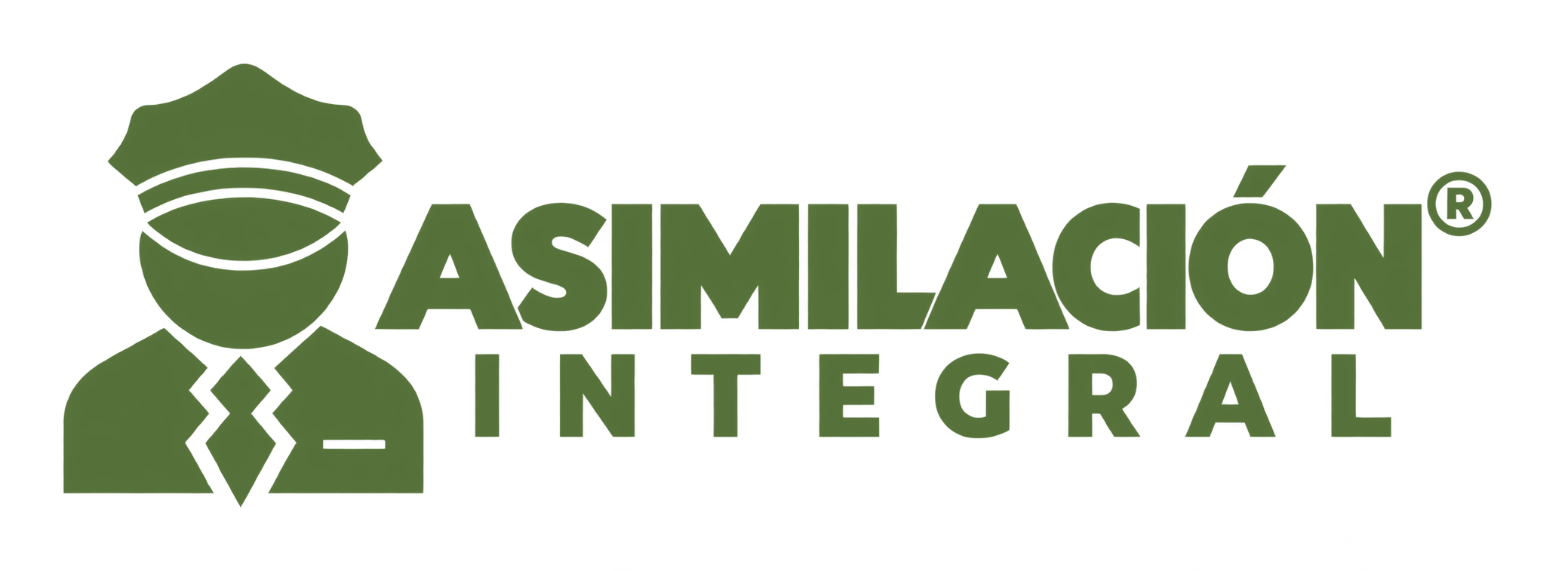 Asimilación Integral